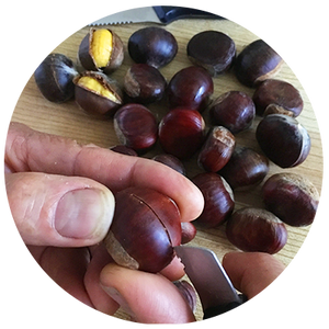 Scoring and peeling chestnuts